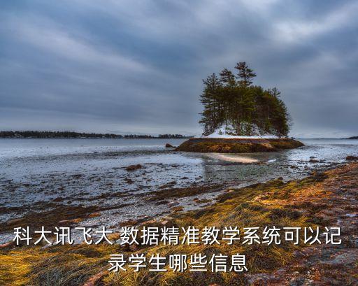 科大訊飛大 數(shù)據(jù)精準(zhǔn)教學(xué)系統(tǒng)可以記錄學(xué)生哪些信息