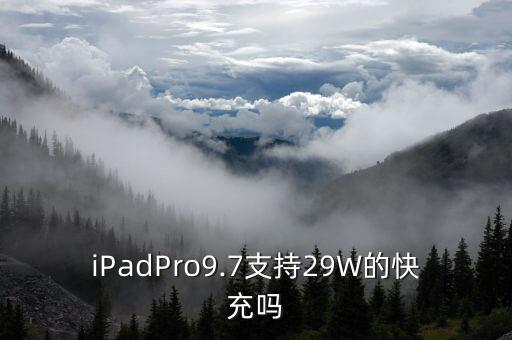 iPadPro9.7支持29W的快充嗎