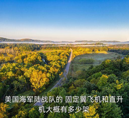 美國(guó)海軍陸戰(zhàn)隊(duì)的 固定翼飛機(jī)和直升機(jī)大概有多少架
