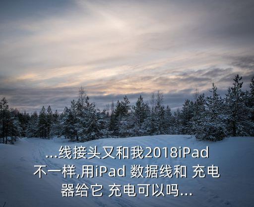...線接頭又和我2018iPad不一樣,用iPad 數(shù)據(jù)線和 充電器給它 充電可以嗎...