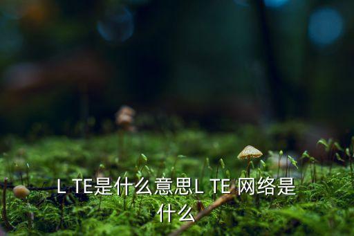 數(shù)據(jù)通信與網(wǎng)絡(luò) TE