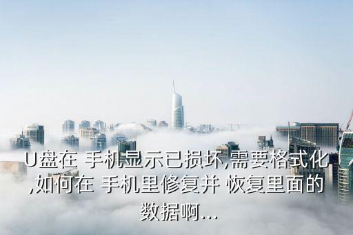 U盤在 手機(jī)顯示已損壞,需要格式化,如何在 手機(jī)里修復(fù)并 恢復(fù)里面的 數(shù)據(jù)啊...