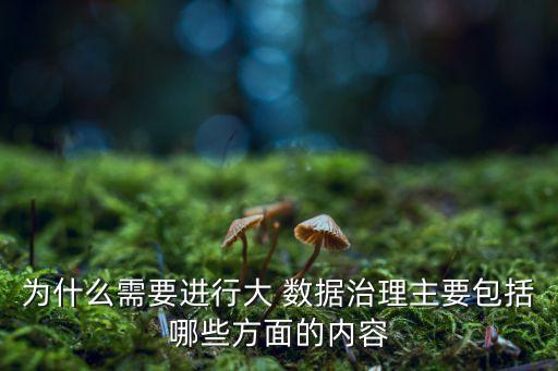 大數(shù)據(jù)與企業(yè)信息化,數(shù)據(jù)的準確性是企業(yè)信息化成功的關鍵