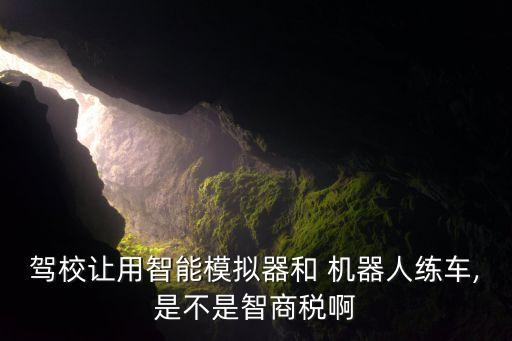 駕校讓用智能模擬器和 機(jī)器人練車,是不是智商稅啊