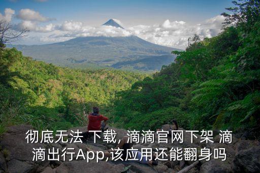 滴滴大數(shù)據(jù) 下載不了,滴滴app為什么下載不了
