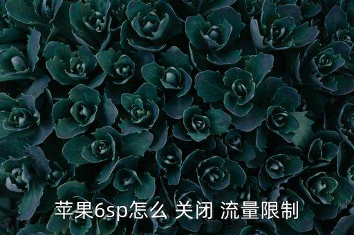 蘋果6sp怎么 關閉 流量限制