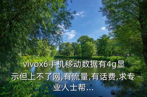 vivox6數(shù)據(jù)網(wǎng)打不開