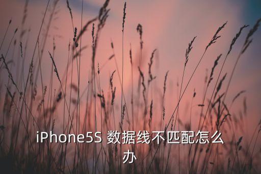 iPhone5S 數(shù)據(jù)線不匹配怎么辦