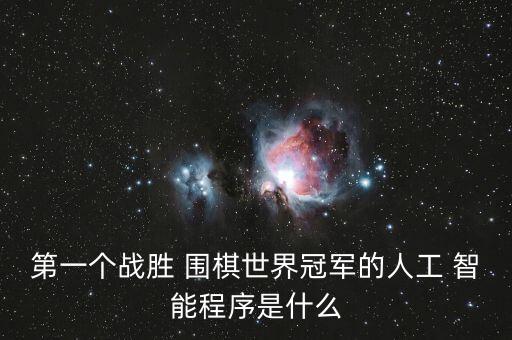 第一個(gè)戰(zhàn)勝 圍棋世界冠軍的人工 智能程序是什么