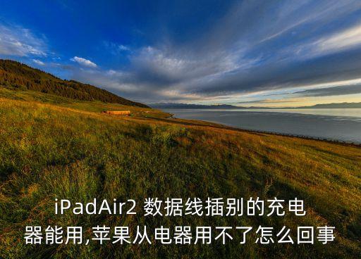 iPadAir2 數(shù)據(jù)線插別的充電器能用,蘋果從電器用不了怎么回事
