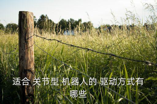 機器人 關節(jié)驅(qū)動