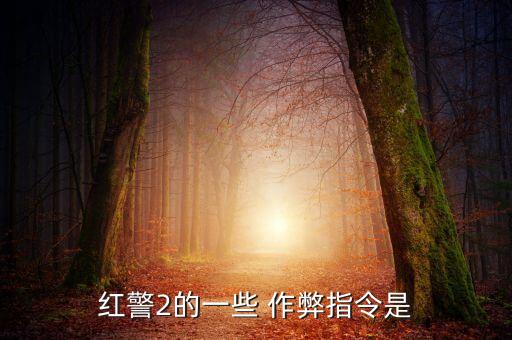 紅警2的一些 作弊指令是