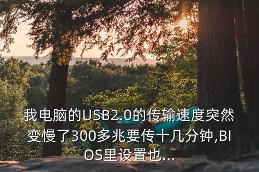 我電腦的USB2.0的傳輸速度突然變慢了300多兆要傳十幾分鐘,BIOS里設(shè)置也...