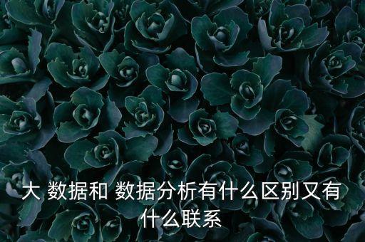 大 數(shù)據(jù)和 數(shù)據(jù)分析有什么區(qū)別又有什么聯(lián)系