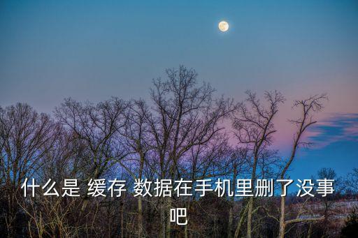 數(shù)據(jù)緩存可以刪除嗎,qq清空緩存數(shù)據(jù)會刪除什么