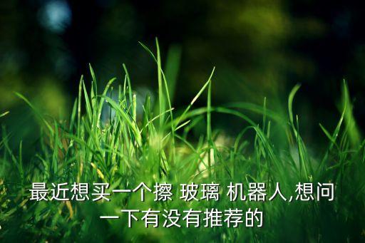 最近想買一個擦 玻璃 機器人,想問一下有沒有推薦的