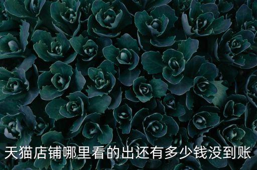 怎么看天貓交易數(shù)據(jù),天貓赤兔交易怎么看客服績效