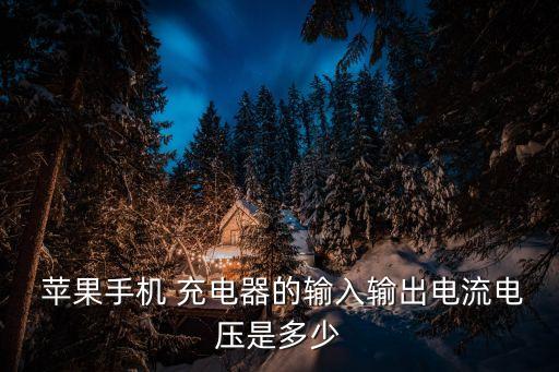  蘋果手機(jī) 充電器的輸入輸出電流電壓是多少