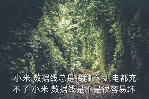  小米 數據線總是接觸不良,電都充不了 小米 數據線是不是很容易壞
