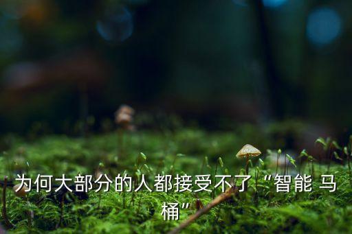為何大部分的人都接受不了“智能 馬桶”