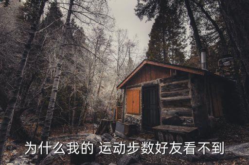 為什么我的 運動步數(shù)好友看不到