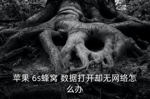 蘋果 6s蜂窩 數(shù)據(jù)打開卻無網(wǎng)絡(luò)怎么辦