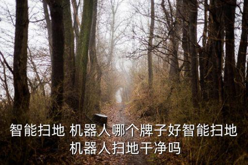 科強(qiáng)機(jī)器人多少錢(qián),帶男性功能的機(jī)器人多少錢(qián)