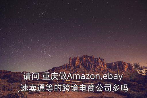 請問 重慶做Amazon,ebay,速賣通等的跨境電商公司多嗎
