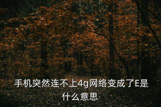  手機突然連不上4g網(wǎng)絡變成了E是什么意思