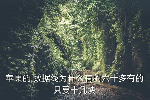 蘋果的 數(shù)據(jù)線為什么有的六十多有的只要十幾塊