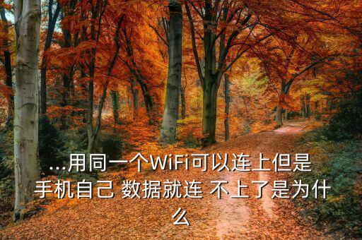 ...用同一個(gè)WiFi可以連上但是 手機(jī)自己 數(shù)據(jù)就連 不上了是為什么