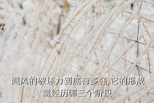  颶風(fēng)的破壞力到底有多強,它的形成需經(jīng)歷哪三個階段
