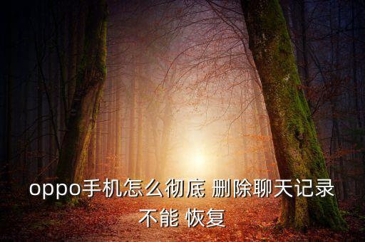 oppo手機(jī)怎么徹底 刪除聊天記錄不能 恢復(fù)