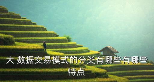 如何賣大數(shù)據(jù),賣大數(shù)據(jù)的公司