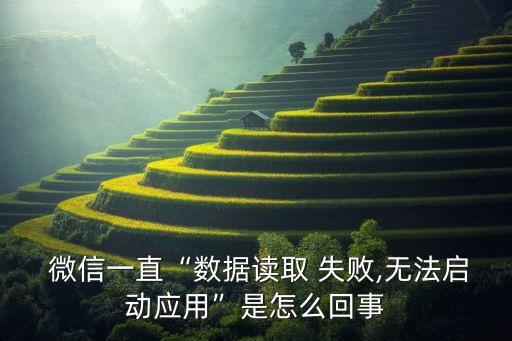 ipad微信登陸不了載入數(shù)據(jù)失敗