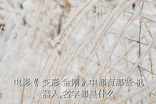 電影《 變形 金剛》中都有那些 機(jī)器人,名字都是什么
