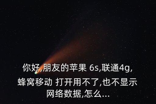6s蜂窩移動數(shù)據(jù)打開了上不了網(wǎng)絡設置