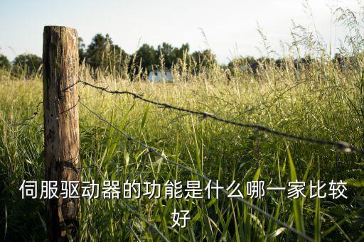 工業(yè)機器人的伺服電機