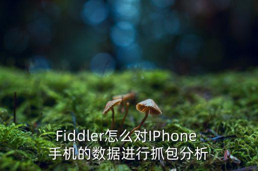 Fiddler怎么對(duì)IPhone 手機(jī)的數(shù)據(jù)進(jìn)行抓包分析