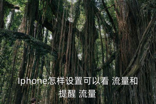 Iphone怎樣設(shè)置可以看 流量和提醒 流量