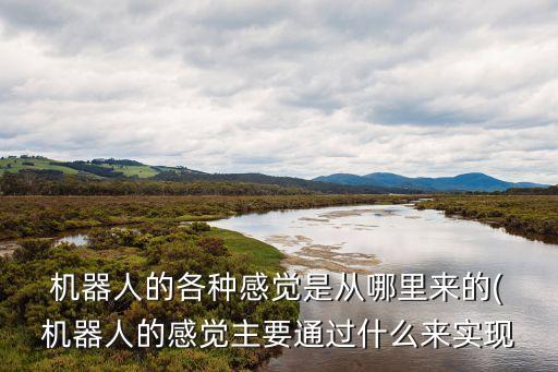 自動識別物體抓取機器人,機器人在抓取物體時一般使用什么運動指令