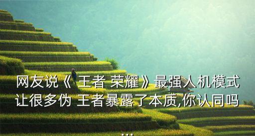 網(wǎng)友說《 王者 榮耀》最強(qiáng)人機(jī)模式讓很多偽 王者暴露了本質(zhì),你認(rèn)同嗎...