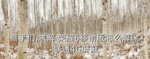 高手們,求解 榮耀6移動(dòng)版怎么解除 聯(lián)通4G屏蔽