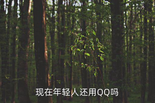 現(xiàn)在年輕人還用QQ嗎
