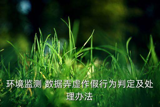 環(huán)境監(jiān)測(cè) 數(shù)據(jù)弄虛作假行為判定及處理辦法