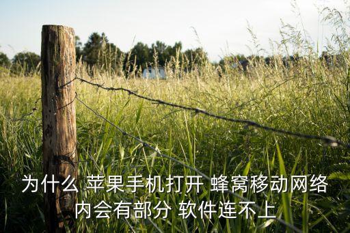 為什么 蘋果手機打開 蜂窩移動網(wǎng)絡內(nèi)會有部分 軟件連不上