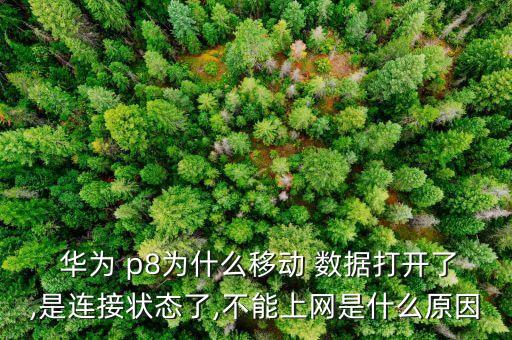  華為 p8為什么移動(dòng) 數(shù)據(jù)打開(kāi)了,是連接狀態(tài)了,不能上網(wǎng)是什么原因