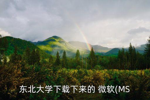 東北大學(xué)下載下來的 微軟(MS