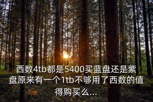 西數(shù)4tb都是5400買藍盤還是紫盤原來有一個1tb不夠用了西數(shù)的值得購買么...