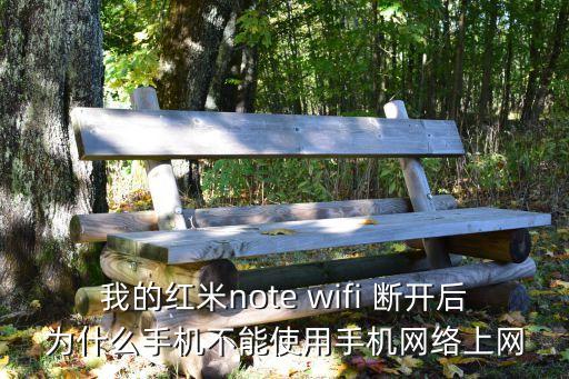 我的紅米note wifi 斷開后為什么手機(jī)不能使用手機(jī)網(wǎng)絡(luò)上網(wǎng)